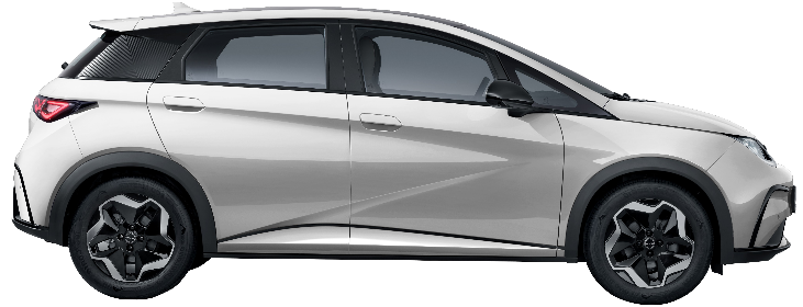 model-new-dolphin-model